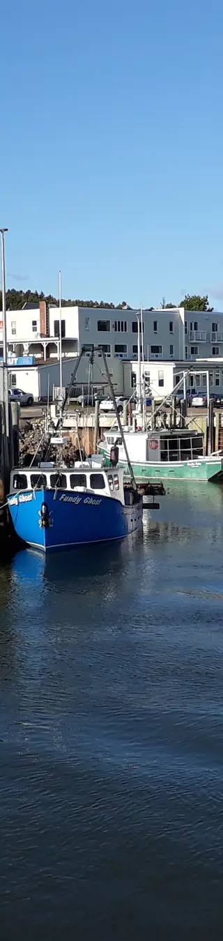 Fischerhafen